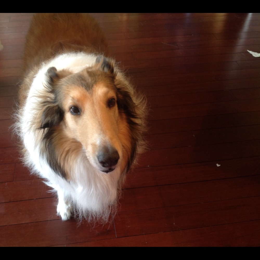 Meet your Posher, Jaylee